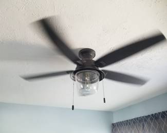 Lighted ceiling fan