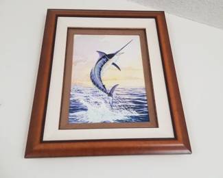 Sailfish art