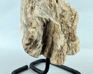 Indonesian Petrified Wood Specimen On Metal Display Stand, 6.75" Tall