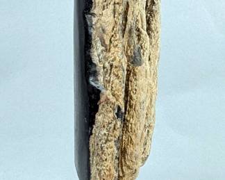 Indonesian Petrified Wood Specimen On Metal Display Stand, 10" Tall