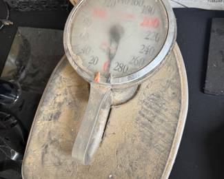 Scale