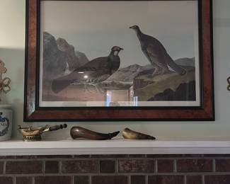 Audubon print