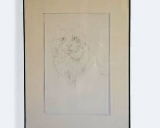 Cat Sketch