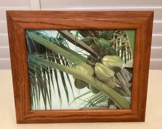 CMS127 Framed Picture Of Coconut Tree