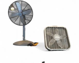 Fans