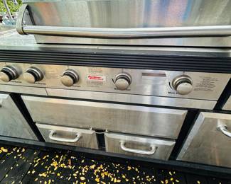 Outdoor gourmet propane grill. This is big and heavy.