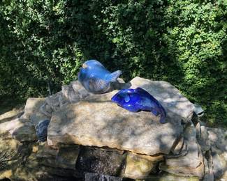 fish sunning themselves