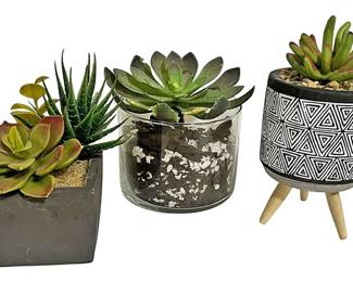 Faux Mini Succulents