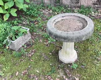 Bird Bath