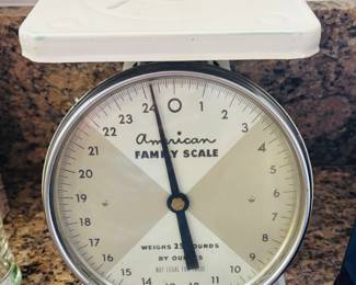 Family scale?  Not everyone is going to fit on this thing at once.