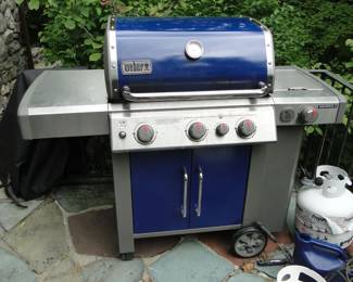 Weber Genesis II Grill