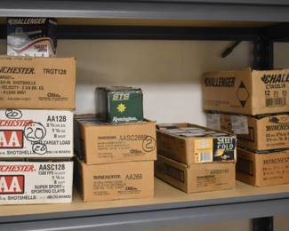 Reloaded Shotgun Shells