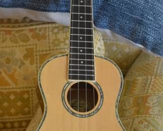 Hawaiian Guitar
