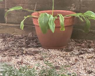 Garden Items