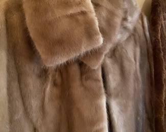 Mink