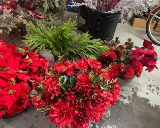 MANY CHRISTMAS FLOWERS