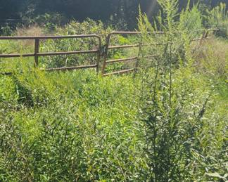 Round ring for a horse 