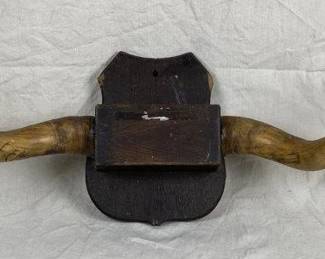 Mounted Steer Horns