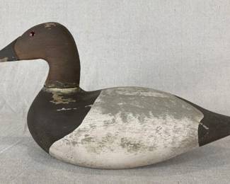 Duck Decoy