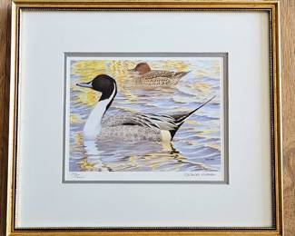 Michael Warren Signed & Numbered Print "Northern Pintail Ducks" Ltd Ed 198/1000 12x14 Framed