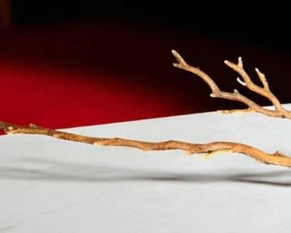 Manzanita Driftwood
