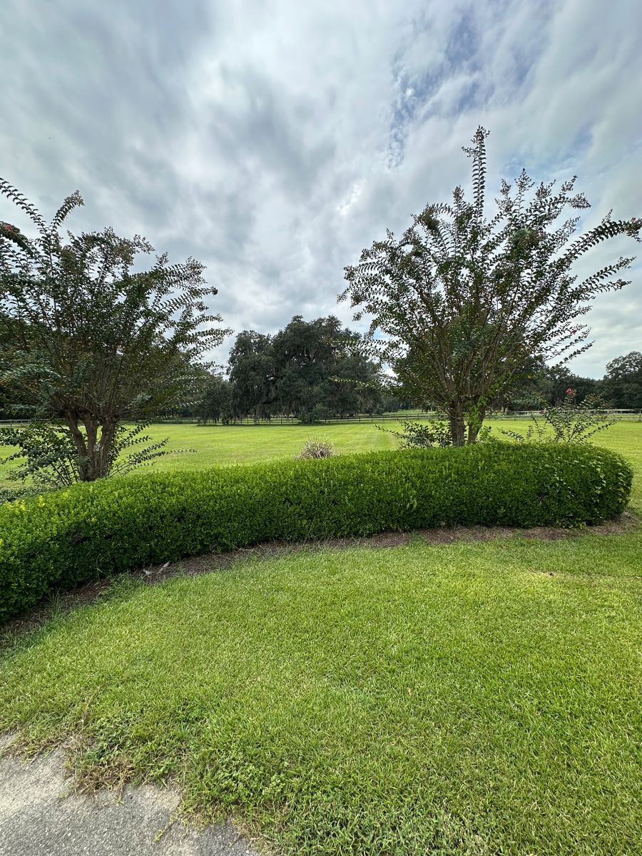 This absolutely stunning property is currently on the market. A must see property 
40 acres, barn, horse fencing and a completely remodeled guest house plus the main house of over 6600 sq ft