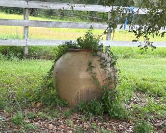 Fabulous large garden pot