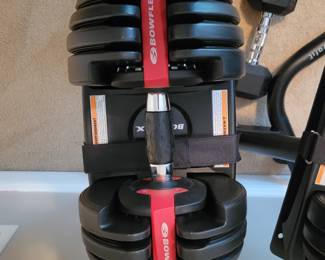Bowflex weights
