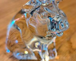 Crystal piggie cute
