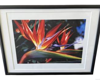 Framed Signed Floral Print by Jerome Estes