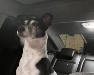 Looking forward to driving in mom‘s new car!