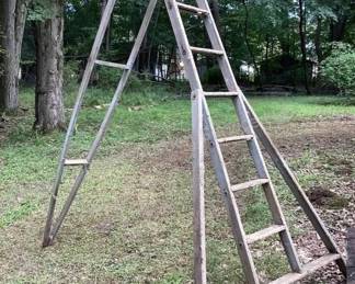 Orchard ladder