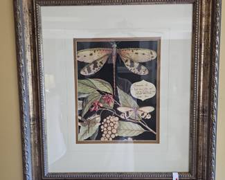 One of a pair of framed dragonfly prints