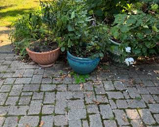 More outdoor planters