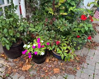 Glazed Planters