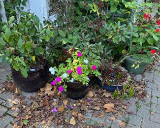 Outdoor Planters