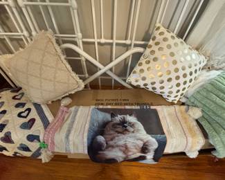 Pillows and Pillow Covers