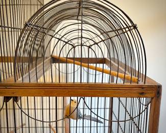 Antique 1860s French birdcage (birds are not real)