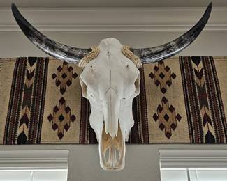 Geniune Longhorn Skull w/ Horns