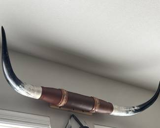 Western Wall Art Set of Genuine Mounted Longhorns