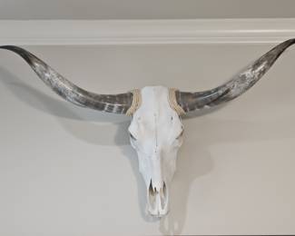 Genuine Steer Skull with Horns