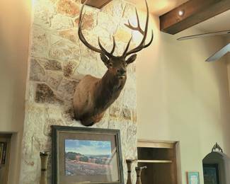 Photo of the elk mount for scale - all other items are not for sale