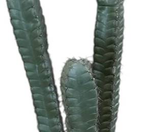 Faux Cactus