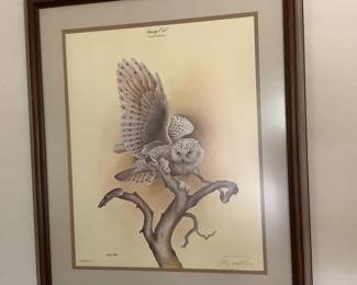 Snowy Owl