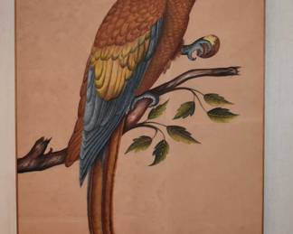 Psittacus Maximus Aldr (ovandi) Canvas
Nicolas Robert