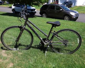 Trex FX Series Alpha Gold Aluminum Bicycle