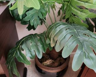 Faux Plants. 