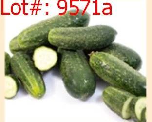 9571a result