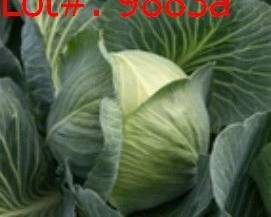 9883a result