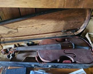 Violin